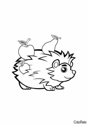 Раскраска Ёжик с фруктами