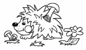 Раскраски грибы, Раскраска Ежик собирает грибы Дикие животные