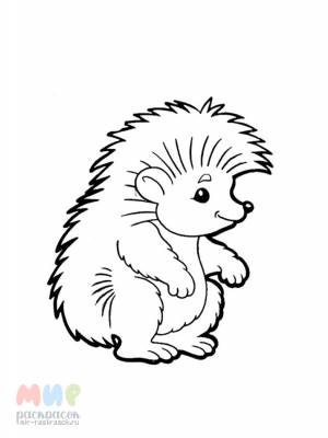 Раскраска Ёж пошел по рожь