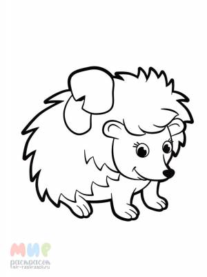 Раскраска Ёжик клубок без ножек