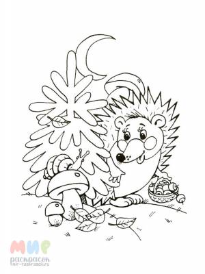 Раскраска Ёжик