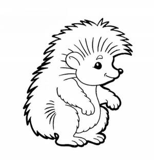 Картинки по запросу рисунок ежика