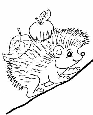 Раскраска «Ёжик с яблочком»