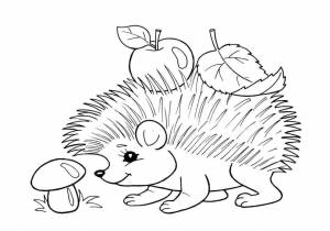 Раскраска ежик для детей