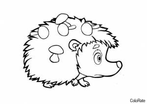 Раскраска Ёж с грибочками