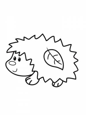 Раскраски Ёжик   в формате