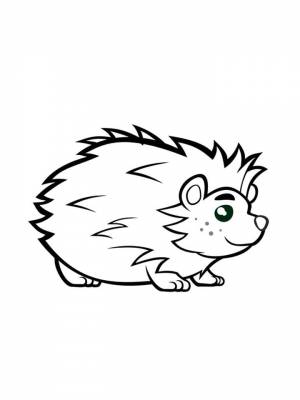 Раскраски Ёжик   в формате