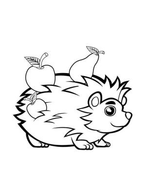 Раскраски Ёжик