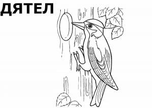 Раскраски На тему зимующие птицы