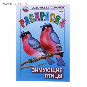 Раскраска Зимующие птицы, серия Первые уроки