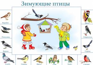 Раскраски