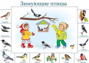 Покормите птиц зимой