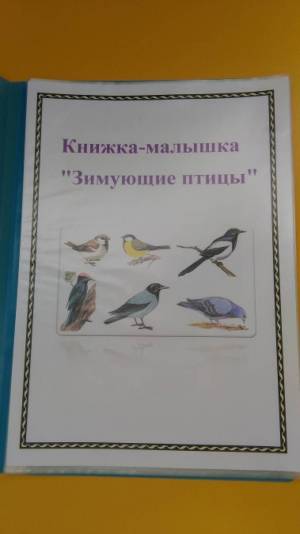 Книжка-малышка «Зимующие птицы»