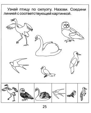 Раскраски перелетные и зимующие птицы
