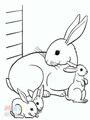 Раскраска Заяц ушами напугается