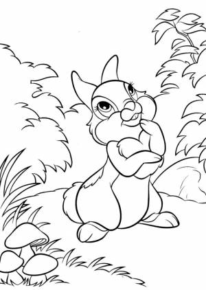 Раскраски заяц и лев