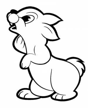 Раскраски Раскраска Заяц удивленно смотрит милые животные