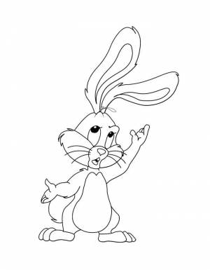 Раскраски Заяц