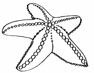 МОРСКИЕ ОБИТАТЕЛИ  РАСКРАСКИ