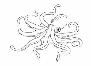 Раскраски Морские Обитатели