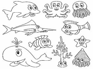 Раскраски Раскраска Морские обитатели в сборе морское