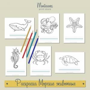 Раскраска Морские животные