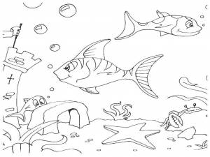 Раскраски Раскраска Подводный мир морские обитатели морские обитатели
