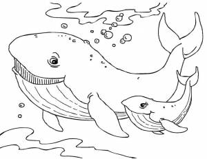 Раскраски море морские обитатели