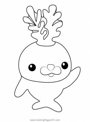 Charchard Octonauts Coloring Page