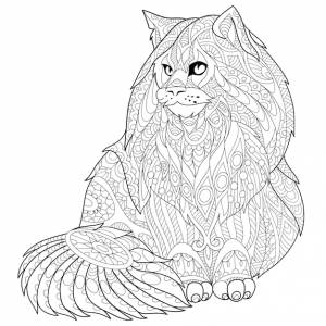 Кошка мейн кун