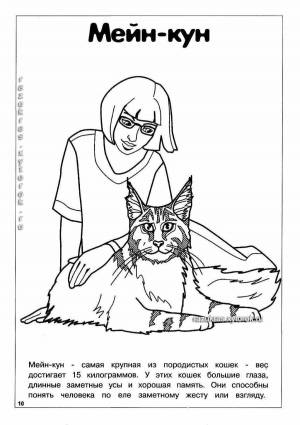 Раскраски кот мэйкун