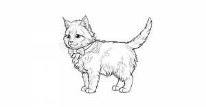 Раскраски кот мэйкун