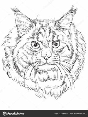 Мэн-кун Векторное изображение ©Alinart 189496800