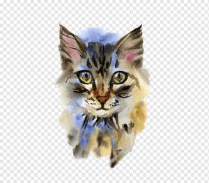 Котенок, мейн кун, сиамский кот, рисунок, акварель, домашнее животное, портрет, усы, кошка, коготь, Рисование png