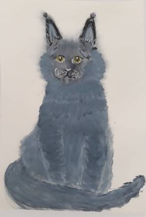 Рисунок «Кошка мейн кун»