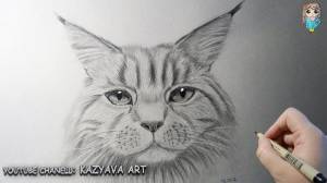 Как нарисовать кота породы МЕЙН-КУН поэтапно