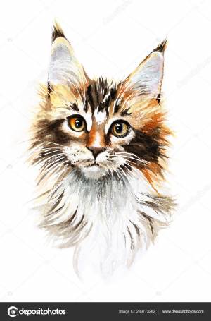 Акварель MaineCoon Cat Hand Drawn Pet Иллюстрация портрета Стоковая иллюстрация ©BolotovaTatyana 289773282