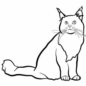 Раскраски Кот мейн кун