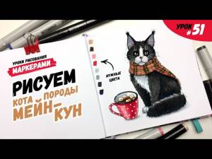 Как нарисовать кота породы мейн-кун?