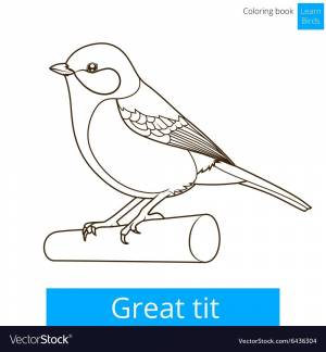 Синица рисунок раскраска