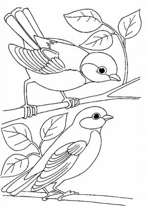 Синица раскраска для детей