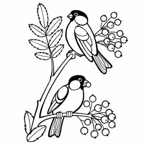 Синичка на ветке раскраска