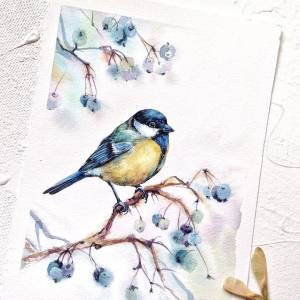 Рисунок синица на ветке