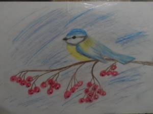 Синица на рябине