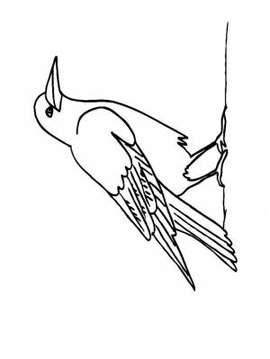 Раскраски Перелетные птицы