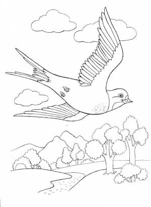 Раскраски перелетные птицы птицы ласточка