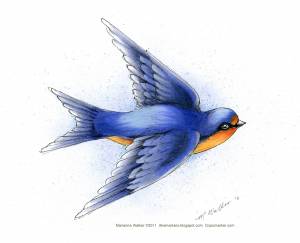 Стрижи перелетные птицы