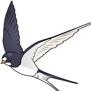 Рисунок ласточка для детей