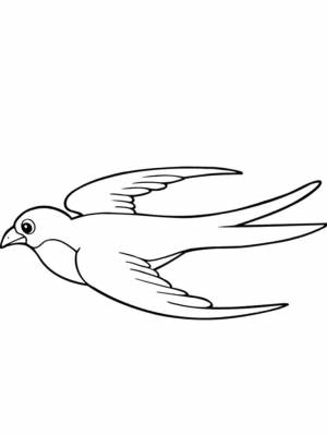 Раскраска Ласточка   в формате