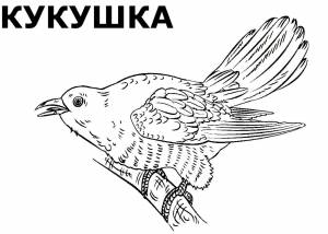 Перелетные птицы раскраски для дошкольников